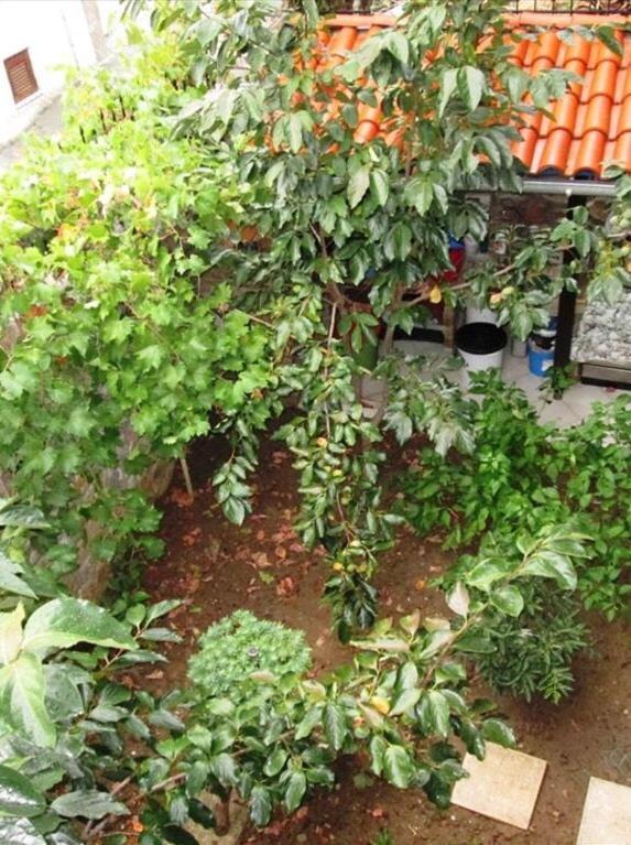 Apartamento Kali Stalonia Nikiti  Exterior foto